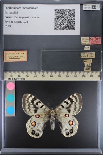 Media type: image;   Entomology 210248